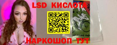 мяу мяу мука Краснознаменск